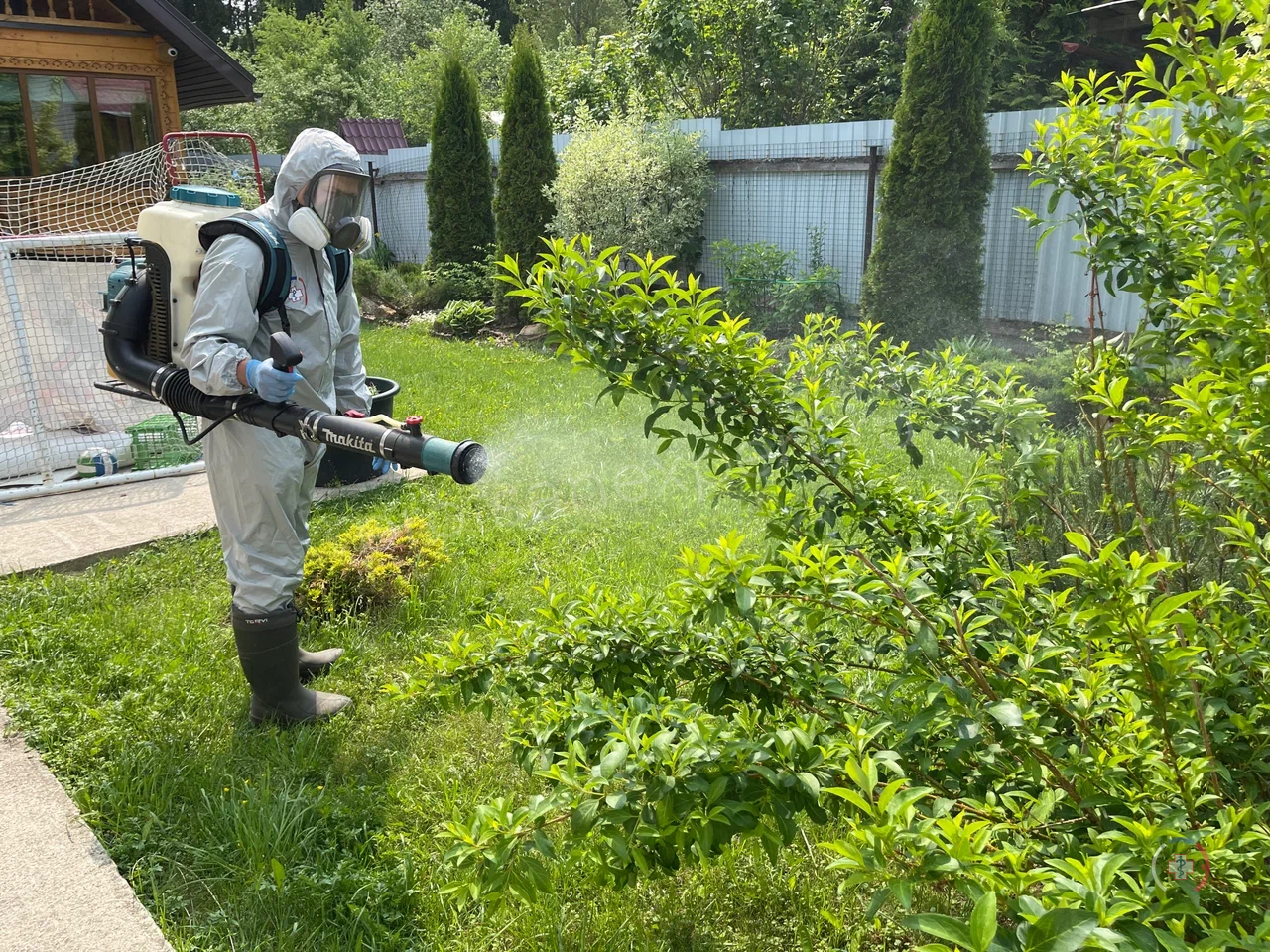 Галерея